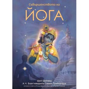 Съвършенството на йога